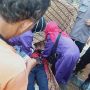 Hendak Ziarah, Warga Kesugihan Cilacap Malah Temukan Jasad Pria Menggantung di Pohon Kamboja Makam Rawa Bakung