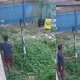 Terekam CCTV, Aksi Pria Paruh Baya Curi Celana Dalam yang Sedang Dijemur