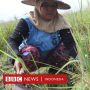Penghargaan Swasembada Beras untuk Jokowi Mendapat Reaksi dari Petani