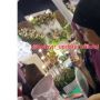 Video Viral Cewek ke Kondangan Buat Nagih Utang ke Mempelai: Woi Gak Inget Utang?