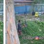 Pria Ini Diam-diam Curi Pakaian Dalam Milik Tetangga di Jemuran, Publik: Emang Enak Jadi Terkenal Satu Kelurahan
