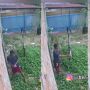 Sungguh Menyedihkan, Pria Curi Celana Dalam Wanita yang Lagi Dijemur