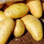 5 Jenis Umbi yang Mengandung Protein, Ada Kentang hingga Bawang!