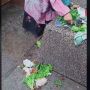 Dagangan PKL Masjid Agung Kota Bandung Berhamburan saat Ditertibkan Satpol PP, DPRD Geram: Mereka Bukan Bandit!
