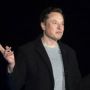 Banyak yang Punya Akun Centang Biru, Influencer Sayap Kanan Inggris Disebut Kena Perangkap Elon Musk