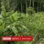 Perayaan HUT ke-77 RI di Tengah Jerit Pengungsi Papua