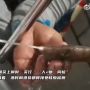 VIDEO Viral! China Tes Swab Ikan Hasil Tangkapan Nelayan, Bikin Heboh