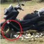 Potret Bentuk Jok Yamaha NMAX Sudah Tak Karuan, Hewan Ini Jadi Penyebabnya