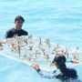 Berbagai Upaya Bersama Jaga Kelestarian Ekologi di Kepulauan Seribu