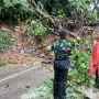 Diterjang Longsor, Arus Lalu Lintas Padang-Solok Diperkirakan Terganggu hingga Sabtu Malam