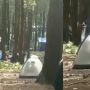 Video Viral Diduga Sepasang Kekasih Terciduk Berbuat Tak Senonoh di Dalam Tenda Kamping