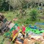 Truk Muatan Cabai Terguling di Area Pemakaman Banyuwangi