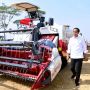 Jokowi Luncurkan Lumbung Pangan Mangga Raksasa, Targetkan Pasar Jepang Hingga Eropa