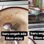 Makan Ludes Tak Tersisa di Warteg, Pelanggan ini Baru Sadar Ada Tikus 'Ngemil' Lauk Depan Mata, Publik: Langsung Muntah