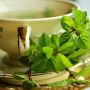 4 Manfaat Daun Mint bagi Kesehatan, Salah Satunya Meredakan Gejala PMS