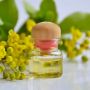 6 Manfaat Tea Tree Oil untuk Kesehatan Kulit, Juga dapat Mengatasi Jerawat!