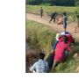 Viral Emak-emak Bikin Salfok saat Evakuasi Motor Nyungsep ke Sawah, Kelakuannya Bikin Ngakak