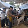 Sandiaga Uno Berikan Bibit Kambing Untuk Bantu Kemandirian Ekonomi Pesantren