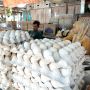 Penjual Nasi Kuning di Kota Makassar Marah-marah