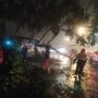 Diterjang Hujan Deras, Pohon Tumbang di Batu Tulis Bogor