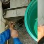 Bikin Merinding, Ular Sanca Berukuran Sedang Terjebak di Septic Tank Warga