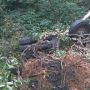 Truk Masuk Jurang Sedalam 50 Meter di Sitinjau Lauik, Sopir Masih Hilang
