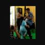 Kelakuannya Bikin Malu! Anak Jambak Rambut Ayahnya di Atas Panggung Gegara Asyik Nyawer Biduan Dangdut