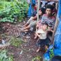 Gempa Magnitudo 6,1 Dilaporkan Rusak Sekolah, Puskesmas hingga Gereja di Mentawai