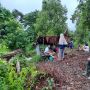 Dampak Gempa Mentawai, Bangunan SD Roboh dan Ratusan Warga Mengungsi