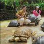 Titi Kamal Shock Lihat Rumah Irfan Hakim, Ada Kebun Binatang Mini dan Air Terjun Khas Hutan Tropis!