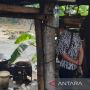 DLH Jateng Lakukan Cek Terkait Laporan Limbah Anjing di Sungai Bengawan Solo