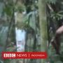 Manusia Lubang, Anggota Terakhir Suku Asli Brasil Meninggal