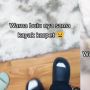 Kamuflase, Warna Bulu Kucing Ini Menyerupai Karpet