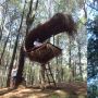 Puncak Becici, Sejuknya Hutan Pinus Lokal yang Terkenal Seantero Dunia