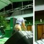 Video Biduan Nyanyi Sambil Koprol hingga Celana Dalam Terlihat, The Real Kerja Banting Tulang