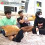 Luapkan Kesal ke Thariq Halilintar, Fuji: Aku Diinjak-Injak, Kamu Kok Diam Aja