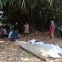 Perluas Kandang Ayam Hingga Tidak Melibatkan Ahli Waris Saat Pembongkaran, Empat Jenazah Terlantar di Kebun Bambu