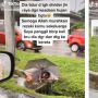Pilu! Dagangan Sepi Akibat Hujan, Bocah Penjual Mangga sampai Tertidur di Selokan sambil Bawa Payung