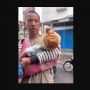 Geger Pengemis Bawa Bayi Teler Obat Tidur, Netizen Malah Sindir Kak Seto: Dia Lagi Sibuk Urus Anak Sambo