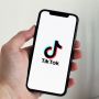 Cara dan Link Download MP3 TikTok Gratis No Watermark Lewat SaveTik