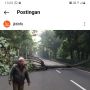 Pohon Tumbang di Depan UP Sempat Bikin Arus Lalin Tersendat, Saat Ini Sudah Tertangani
