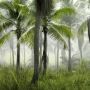 Wilayah Tropis Kaya Flora dan Fauna, Apa Sih Penyebabnya? Ini Kata Ilmuwan