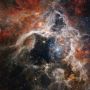 Tarantula Luar Angkasa Raksasa Ditangkap Teleskop Webb NASA