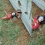 Anak Kecil Dibiarkan Tertidur di Tengah Ladang, Posisi Badan Dekat dengan Cangkul, Publik Geram: Ambil Dulu Itu Cangkul