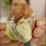 Makanan Ekstrem, Ternyata Begini Cara Santap Balut atau Telur dengan Embrio Khas Filipina