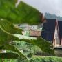 7 Rekomendasi Tempat Wisata Kopeng, Ada yang Menguji Adrenalin di Tengah Alam