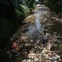 Soroti Kinerja Kader PKS di Kota Depok, PDIP Bandingkan Penanganan Sampah di Surabaya: di Depok Jadi Sumber Masalah