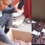 Nahas! Uang Puluhan Juta untuk Daftar Haji Milik Ludes Dimakan Rayap