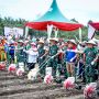 Dukung Ketahanan Pangan Nasional, Sinergi PHR-TNI AD Olah 100 Hektare Tanaman Pangan