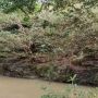 Belum Banyak yang Tahu, Wisata Batu Lumpang Pangandaran Punya Mata Air Awet Muda